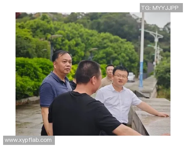 张帆:在时代浪潮中追寻梦想与坚持的力量 张帆:在时代浪潮中追寻梦想与坚持的力量
